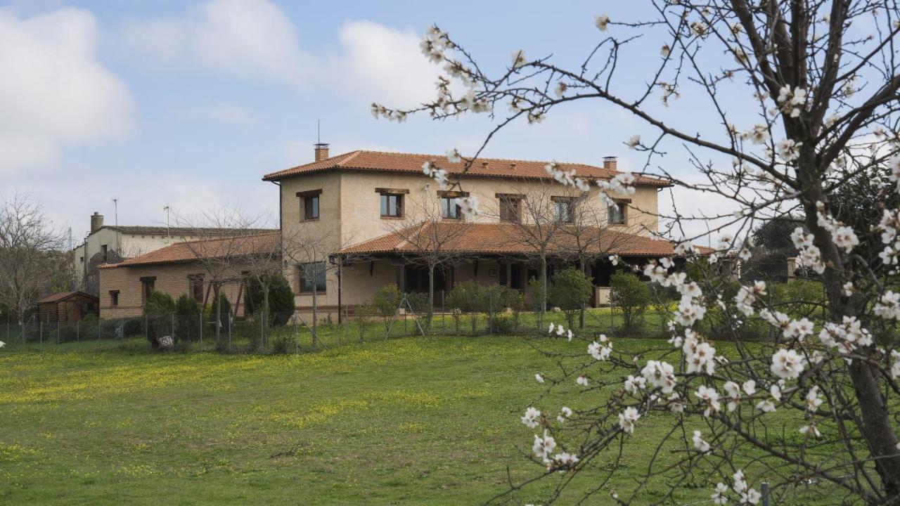 Casa Rural Pilon Del Fraile Oropesa Bagian luar foto